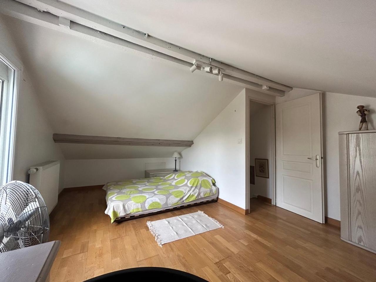 Villa Rose Toulouse Kültér fotó